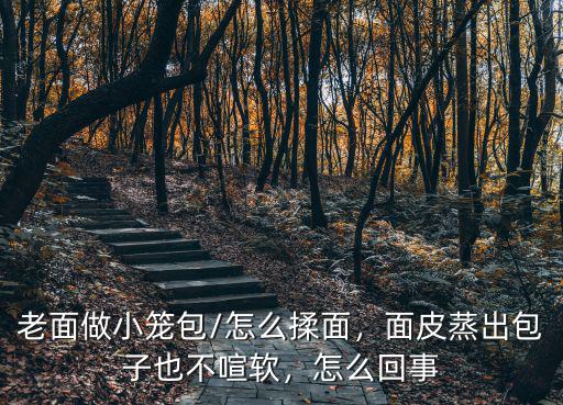 老面做小籠包/怎么揉面，面皮蒸出包子也不喧軟，怎么回事