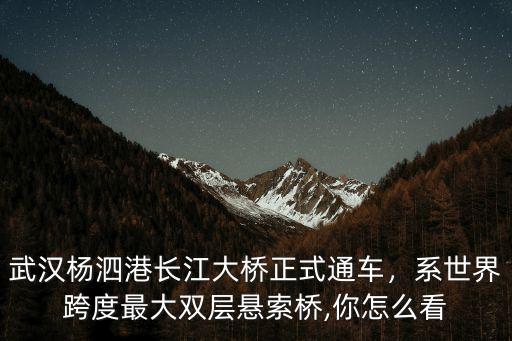 武漢楊泗港大橋怎么去,武漢楊泗港大橋建成