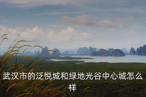 武漢市的泛悅城和綠地光谷中心城怎么樣