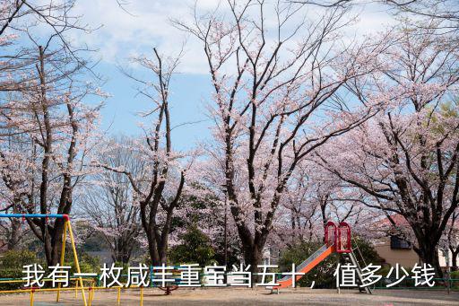 咸豐重寶當(dāng)五十河南局多少錢,咸豐重寶當(dāng)50多少錢一個(gè)