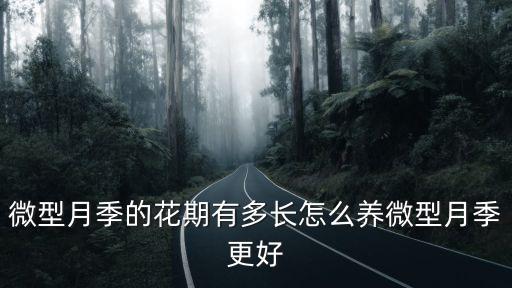 微型月季的花期有多長怎么養微型月季更好