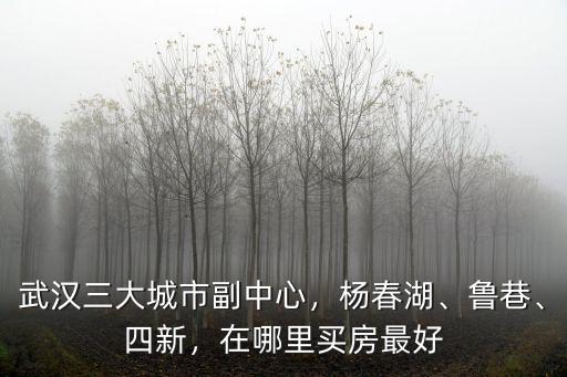 武漢四新區位怎么樣,武漢漢陽的房子怎么樣