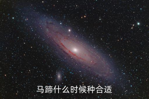 馬蹄什么時(shí)候種合適