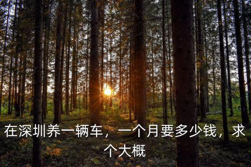 在深圳養一輛車，一個月要多少錢，求個大概
