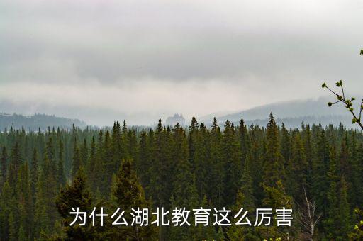 武漢教育基礎教育資源怎么樣,廣州的基礎教育水平怎么樣