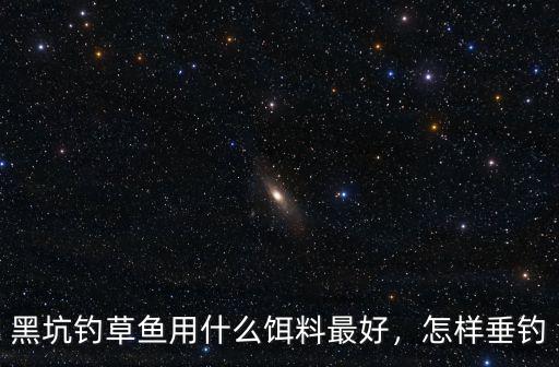 武漢黑坑混養(yǎng)塘怎么釣,黑坑混養(yǎng)塘釣青魚(yú)有什么技巧