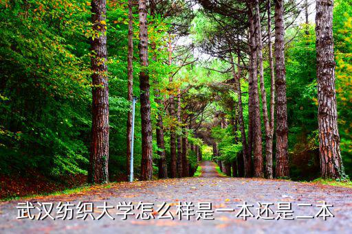 武漢紡織大學(xué)怎么樣是一本還是二本