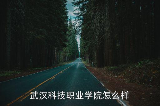 武漢科技職業(yè)學院怎么樣