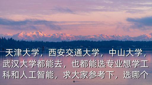 天津大學，西安交通大學，中山大學，武漢大學都能去，也都能選專業想學工科和人工智能，求大家參考下，選哪個