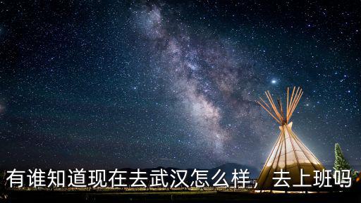 有誰(shuí)知道現(xiàn)在去武漢怎么樣，去上班嗎