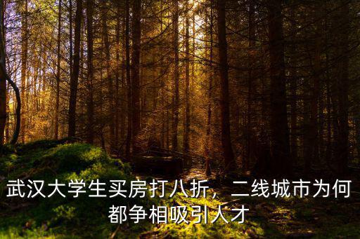 武漢人才怎么八折買房,武漢大學(xué)生買房打八折