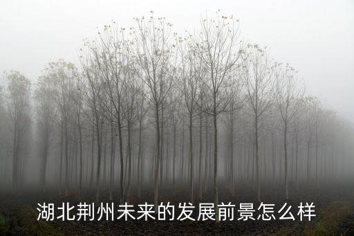 湖北荊州未來的發(fā)展前景怎么樣