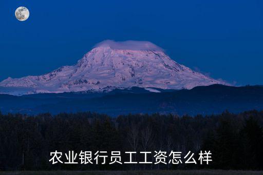 農業銀行員工工資怎么樣