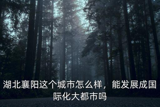 湖北襄陽這個城市怎么樣，能發展成國際化大都市嗎
