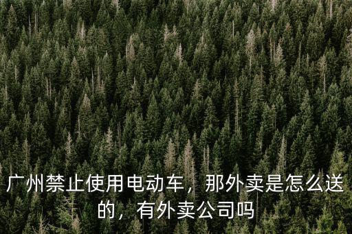 廣州禁止使用電動(dòng)車，那外賣是怎么送的，有外賣公司嗎