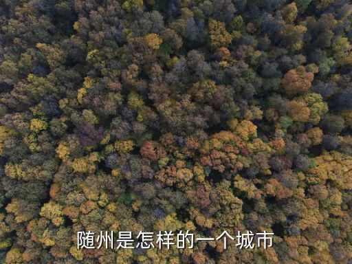 隨州的水簾洞怎么樣,隨州是怎樣的一個城市