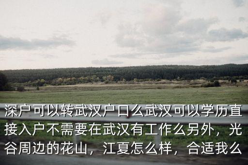 深戶可以轉武漢戶口么武漢可以學歷直接入戶不需要在武漢有工作么另外，光谷周邊的花山，江夏怎么樣，合適我么