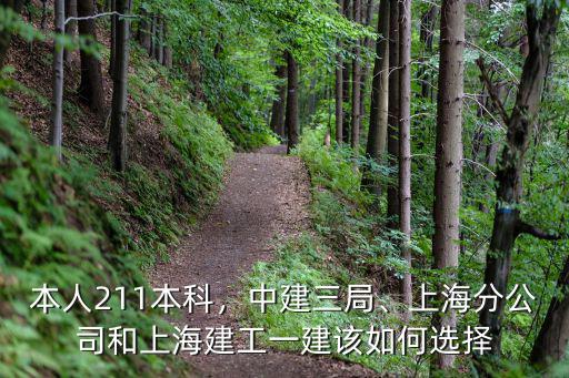 本人211本科，中建三局、上海分公司和上海建工一建該如何選擇