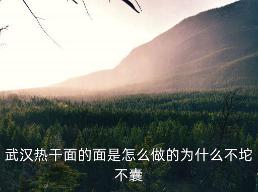 湖北武漢的熱干面怎么做,武漢熱干面的面是怎么做的