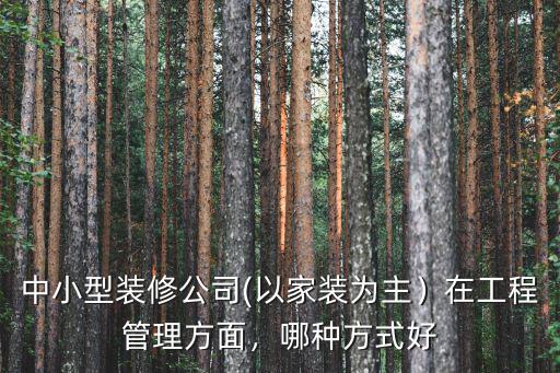 在武漢搞一個小型裝修公司怎么樣,中小型裝修公司