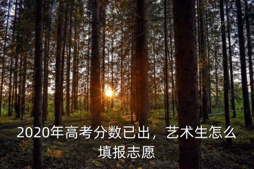 2020年高考分?jǐn)?shù)已出，藝術(shù)生怎么填報(bào)志愿