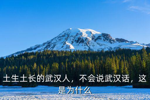 土生土長(zhǎng)的武漢人，不會(huì)說武漢話，這是為什么