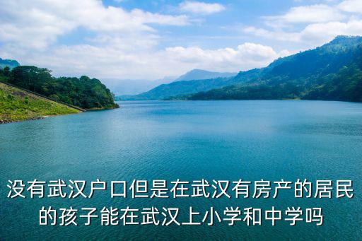 沒有武漢戶口但是在武漢有房產的居民的孩子能在武漢上小學和中學嗎