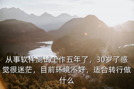 從事軟件測試工作五年了，30歲了感覺很迷茫，目前環境不好，適合轉行做什么