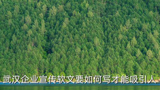 武漢宣傳軟文怎么寫,怎么寫好軟文