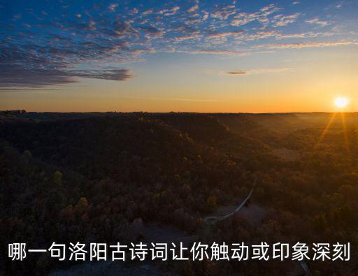 哪一句洛陽古詩詞讓你觸動或印象深刻