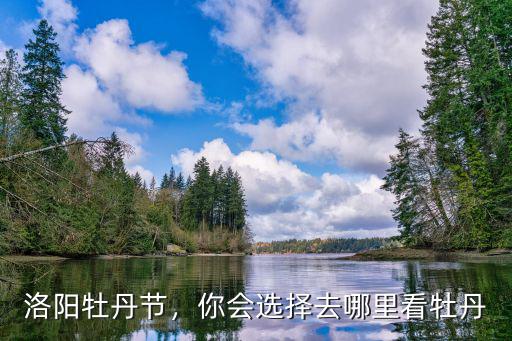 洛陽牡丹節，你會選擇去哪里看牡丹