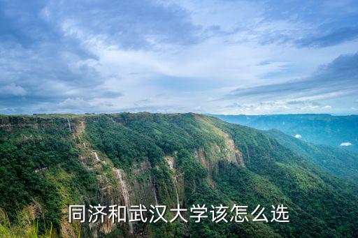 朱一龍武漢大學(xué)怎么,同濟(jì)和武漢大學(xué)該怎么選