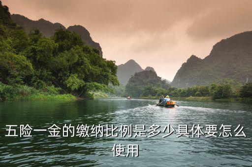 五險一金的繳納比例是多少具體要怎么使用