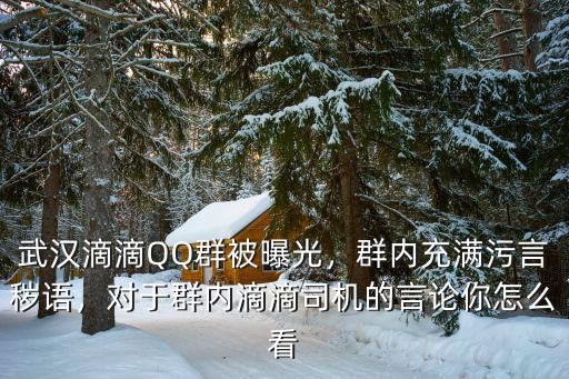 武漢滴滴QQ群被曝光，群內(nèi)充滿污言穢語，對于群內(nèi)滴滴司機(jī)的言論你怎么看