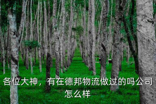 各位大神，有在德邦物流做過的嗎公司怎么樣