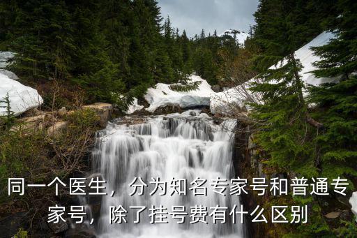 武漢人民醫院骨科專家號怎么掛,想掛市人民醫院的專家號