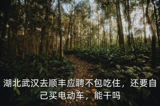 湖北武漢去順豐應聘不包吃住，還要自己買電動車，能干嗎
