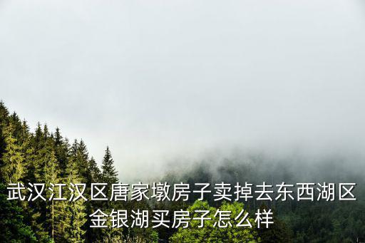 武漢江漢區(qū)唐家墩房子賣掉去東西湖區(qū)金銀湖買房子怎么樣