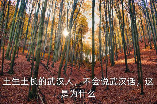 土生土長的武漢人，不會說武漢話，這是為什么