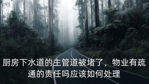 廚房下水道的主管道被堵了，物業有疏通的責任嗎應該如何處理