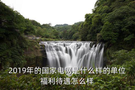 2019年的國家電網是什么樣的單位福利待遇怎么樣