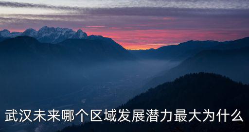 武漢未來哪個區(qū)域發(fā)展?jié)摿ψ畲鬄槭裁? class=