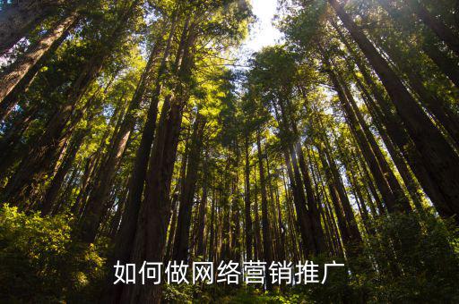 如何做網(wǎng)絡(luò)營(yíng)銷推廣