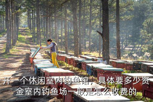 開一個休閑室內釣魚館，具體要多少資金室內釣魚場一般是怎么收費的
