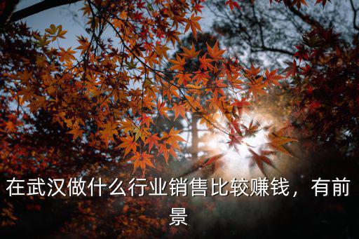 在武漢做什么行業銷售比較賺錢，有前景