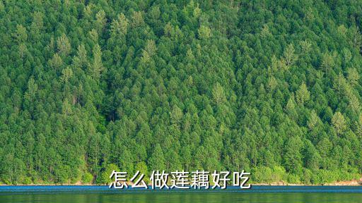 怎么做蓮藕好吃