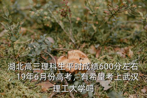 湖北高三理科生平時成績600分左右，19年6月份高考，有希望考上武漢理工大學嗎