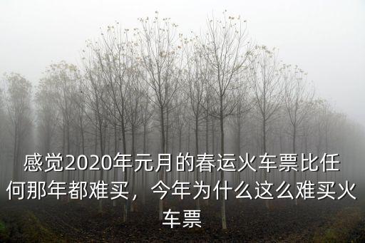 感覺2020年元月的春運火車票比任何那年都難買，今年為什么這么難買火車票