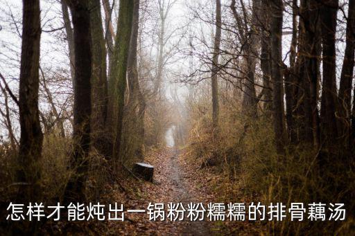 湖北藕燉排骨湯怎么燉最好喝,藕燉排骨怎么做