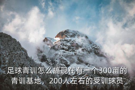 信陽螞蟻足球青訓基地在哪里,請問哪里青訓好